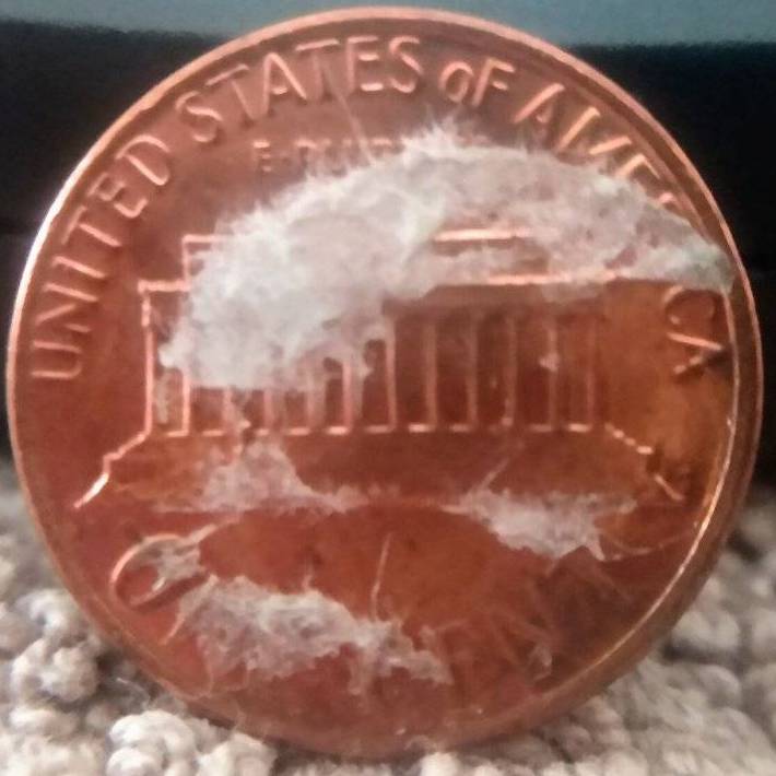 1982-Cent-Is-This-Real-Or-Fake-Opinions-Please